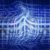 Weak Business Wi-Fi Is Hurting Productivity